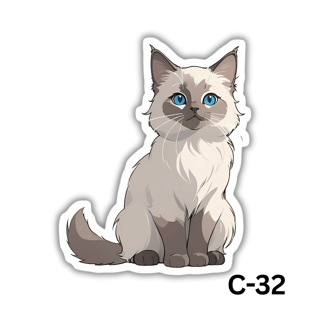 Blue eyes Persian Cat(C-32)