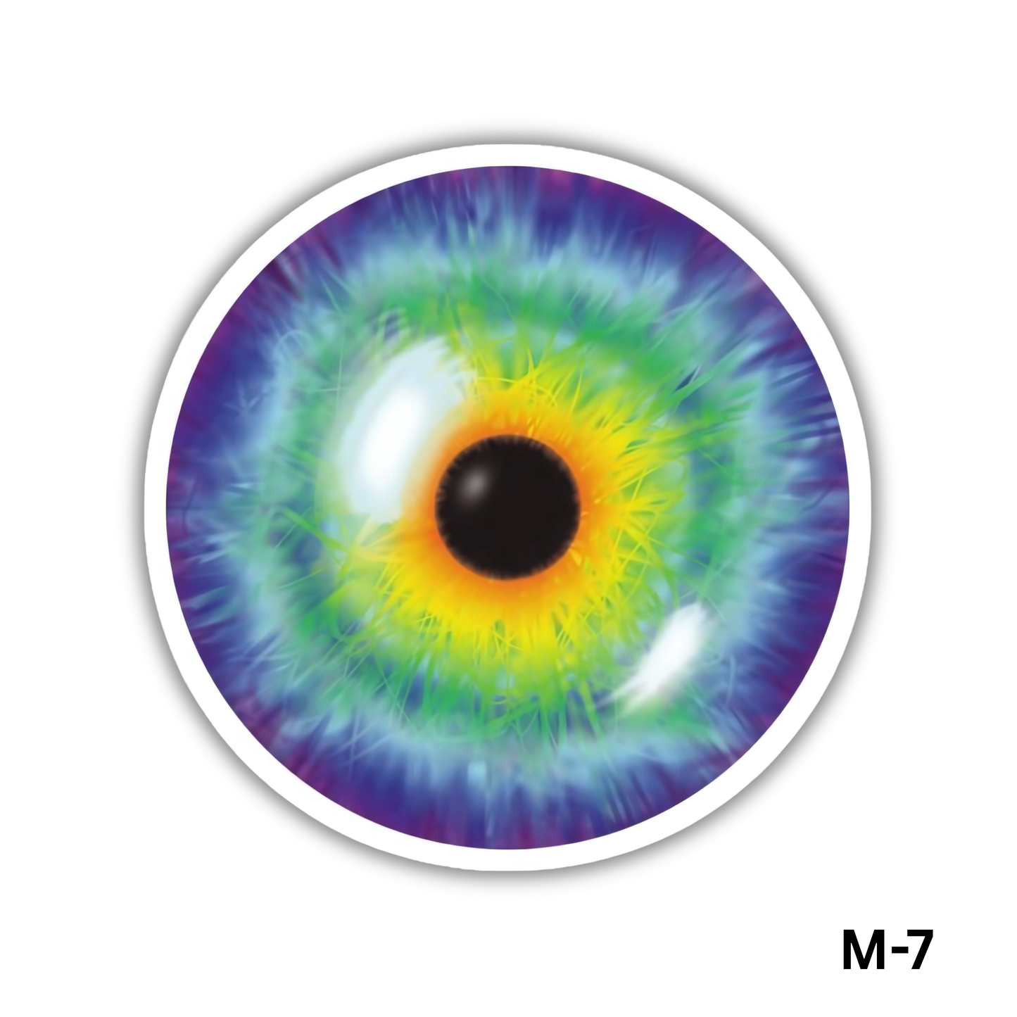 Eye iris(M-7)