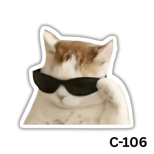 Sunglasses (C-106)