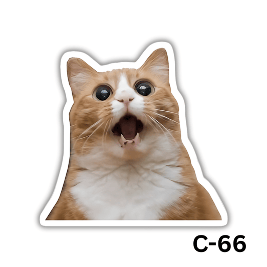 Surprised Cat(C-66)