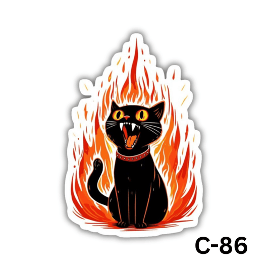 Black cat on fire(C-86)