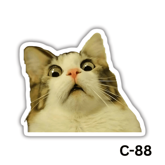 Shocked(C-88)