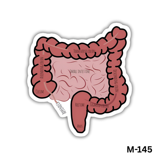 GIT(M-145)