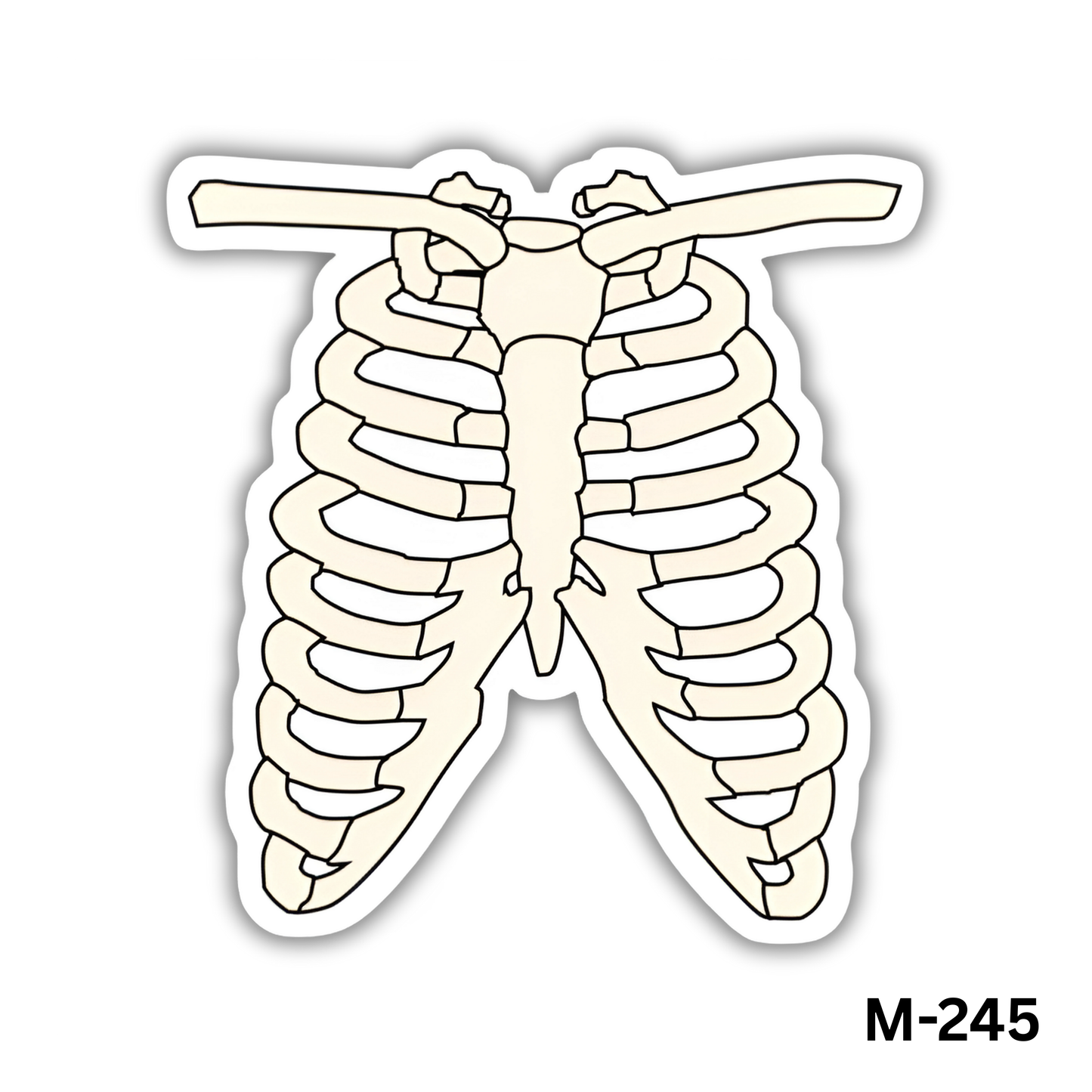 Rib Cage(M-245)