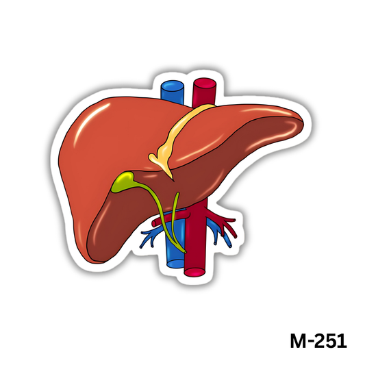 heart(M-251)