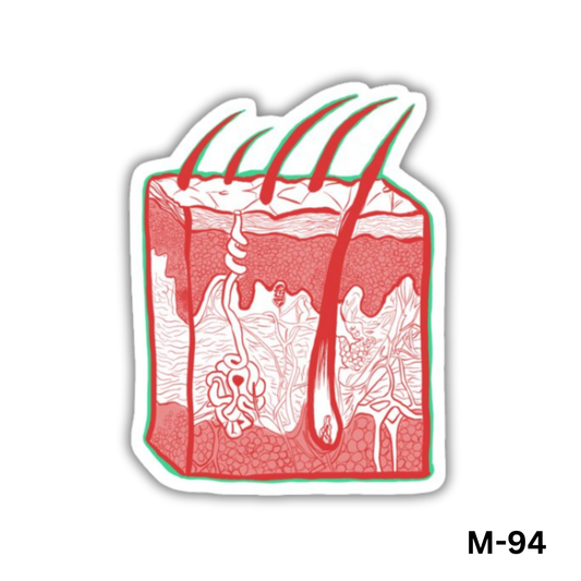 Skin(M-94)
